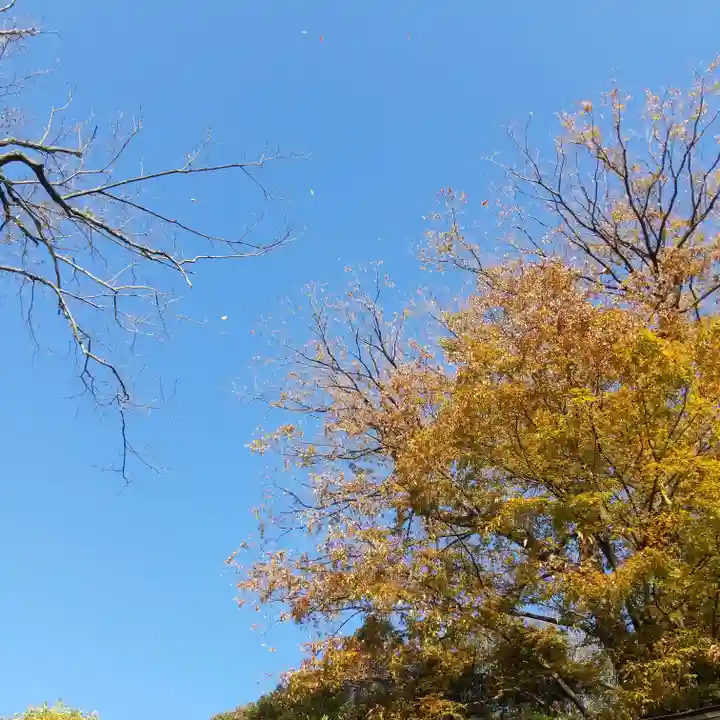 春日神社の自然