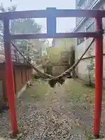 藤乃稲荷神社の鳥居