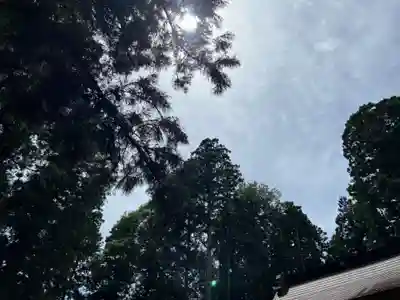 大宮温泉神社(栃木県)