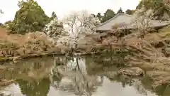 醍醐寺(京都府)