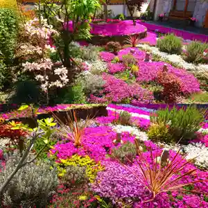 寿量山 速成寺の自然(2021年04月20日(火) 07時43分55秒投稿)