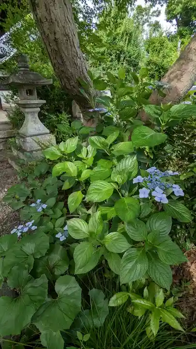 東北院(京都府)