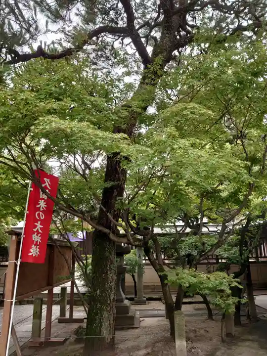 久留米宗社 日吉神社の自然