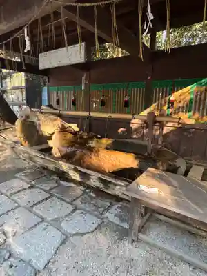 賀茂御祖神社（下鴨神社）(京都府)