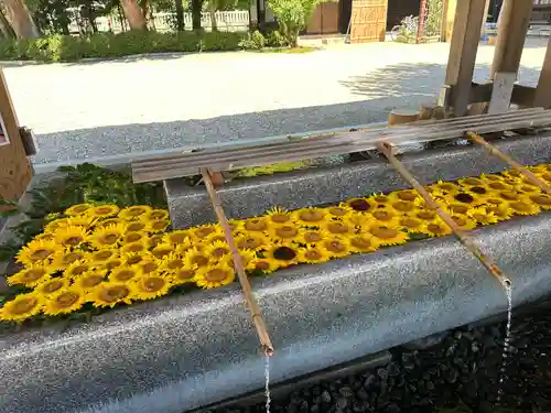 射水神社の手水