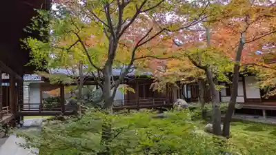 建仁寺（建仁禅寺）(京都府)