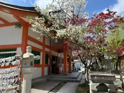 紅葉八幡宮の{uncategorized: "未分類", other: "その他", undefined: "問題あり", building: "その他建物", grave: "お墓", sacred_gate: "鳥居", guardian: "狛犬", statue: "像", buddha: "仏像", history: "歴史", nature: "自然", garden: "庭園", animal: "動物", pagoda: "塔", temizu: "手水舎", mountain_gate: "山門・神門", sanctuary: "本殿・本堂", subordinate: "末社・摂社", art: "芸術", scenery: "景色", jizo: "地蔵", ema: "絵馬", goshuin: "御朱印", omikuji: "おみくじ", items: "授与品その他", amulet: "お守り", goshuincho: "御朱印帳", eats: "食事", festival: "お祭り", votive_dance: "神楽", shichigosan: "七五三参", wedding: "結婚式", experience: "体験その他", initially: "初詣", around: "周辺", anti_infection: "感染症対策"}