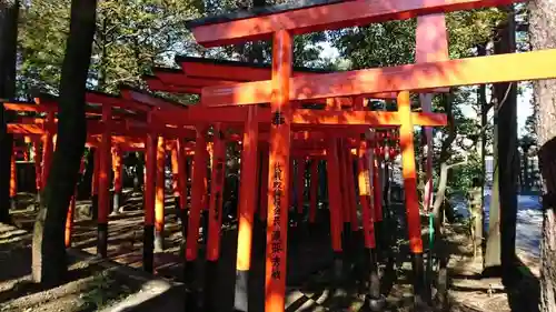 東伏見稲荷神社の鳥居