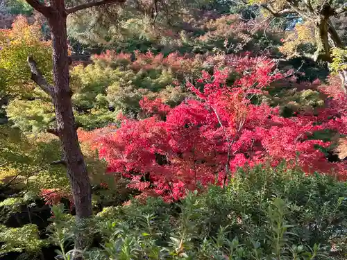 東福禅寺（東福寺）(京都府)