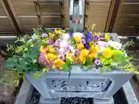 永代寺(東京都)