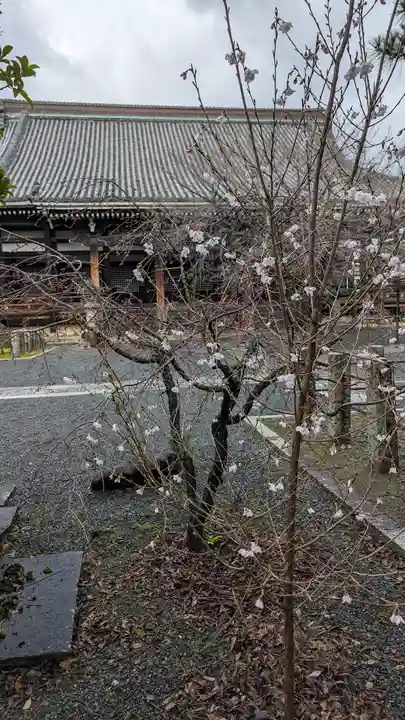 本法寺(京都府)