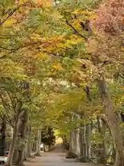 長田神社(長野県)