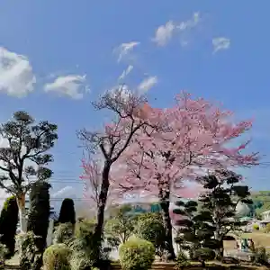 光明寺の景色(2021年03月29日(月) 16時13分37秒投稿)