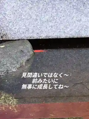熊野神社(東京都)