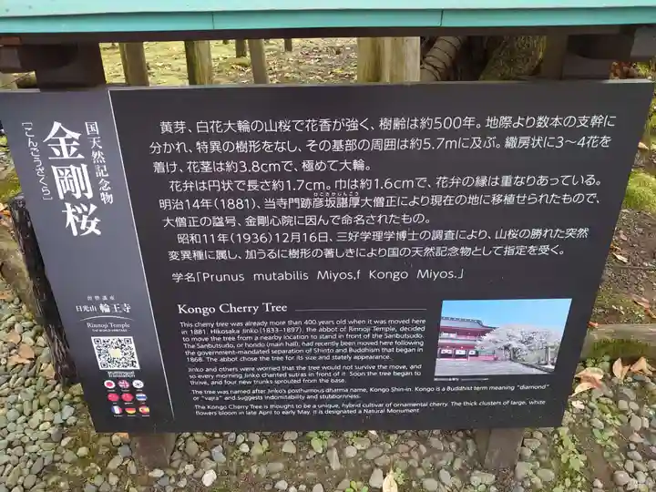 輪王寺(栃木県)