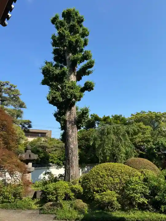 正覚院の{uncategorized: "未分類", other: "その他", undefined: "問題あり", building: "その他建物", grave: "お墓", sacred_gate: "鳥居", guardian: "狛犬", statue: "像", buddha: "仏像", history: "歴史", nature: "自然", garden: "庭園", animal: "動物", pagoda: "塔", temizu: "手水舎", mountain_gate: "山門・神門", sanctuary: "本殿・本堂", subordinate: "末社・摂社", art: "芸術", scenery: "景色", jizo: "地蔵", ema: "絵馬", goshuin: "御朱印", omikuji: "おみくじ", items: "授与品その他", amulet: "お守り", goshuincho: "御朱印帳", eats: "食事", festival: "お祭り", votive_dance: "神楽", shichigosan: "七五三参", wedding: "結婚式", experience: "体験その他", initially: "初詣", around: "周辺", anti_infection: "感染症対策"}