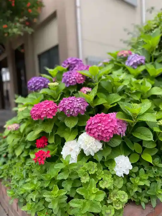 福王山 慈眼寺の自然