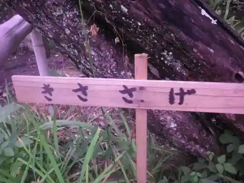 英勝寺のその他建物