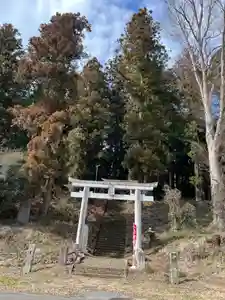 大宮温泉神社(栃木県)(2024年03月01日(金) 11時29分13秒投稿)
