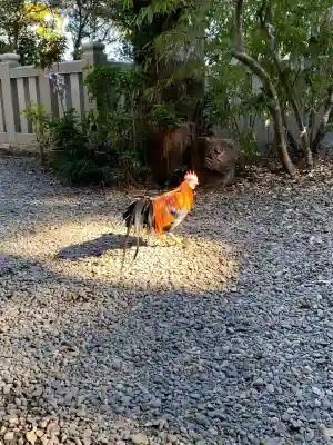 大甕神社(茨城県)