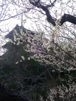 本牧神社(神奈川県)