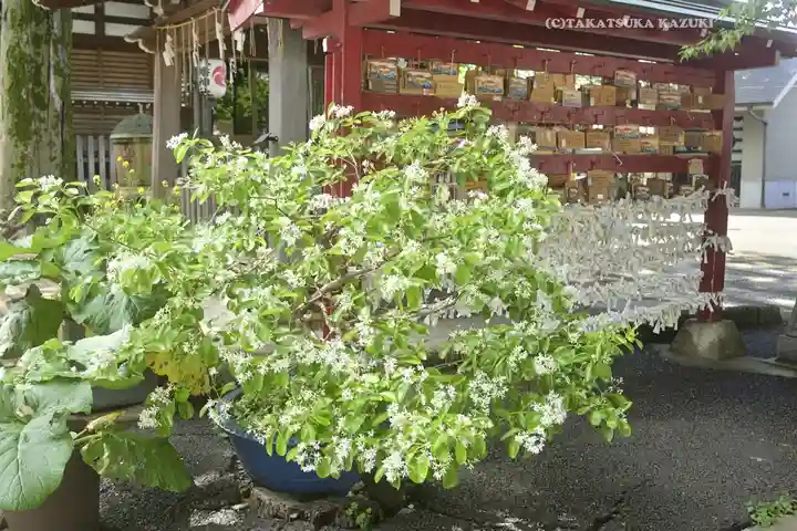 滝野川八幡神社(東京都)