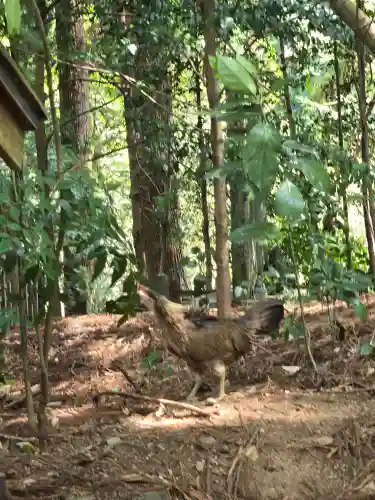 天岩戸神社(宮崎県)