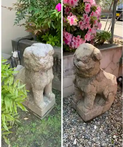 春日神社の狛犬