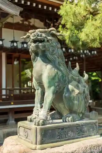 杭全神社の狛犬