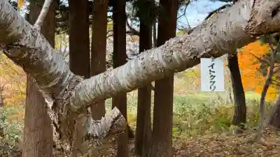 矢不来天満宮(北海道)