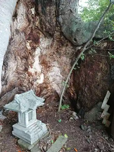 比比多神社（子易明神）の自然