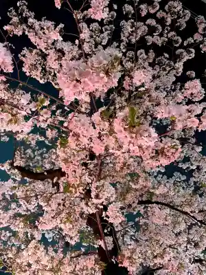 上目黒氷川神社(東京都)