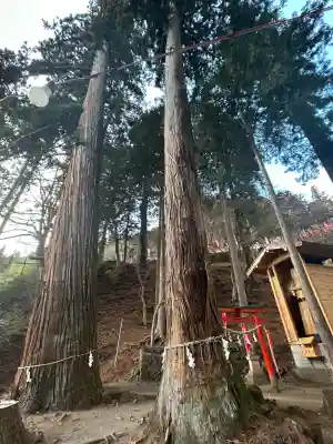 金櫻神社(山梨県)