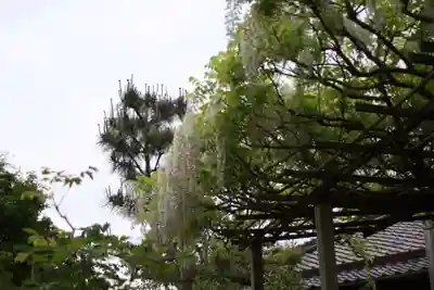 石光寺(奈良県)