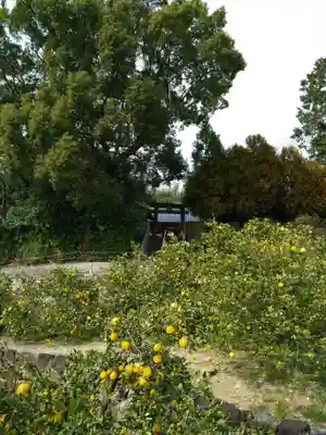 河内阿蘇神社(熊本県)