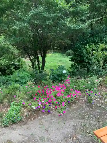 千代ケ岡八幡宮の自然