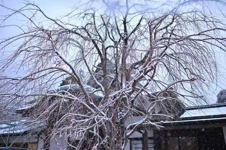 大山阿夫利神社(神奈川県)