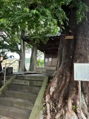 須賀神社の{uncategorized: "未分類", other: "その他", undefined: "問題あり", building: "その他建物", grave: "お墓", sacred_gate: "鳥居", guardian: "狛犬", statue: "像", buddha: "仏像", history: "歴史", nature: "自然", garden: "庭園", animal: "動物", pagoda: "塔", temizu: "手水舎", mountain_gate: "山門・神門", sanctuary: "本殿・本堂", subordinate: "末社・摂社", art: "芸術", scenery: "景色", jizo: "地蔵", ema: "絵馬", goshuin: "御朱印", omikuji: "おみくじ", items: "授与品その他", amulet: "お守り", goshuincho: "御朱印帳", eats: "食事", festival: "お祭り", votive_dance: "神楽", shichigosan: "七五三参", wedding: "結婚式", experience: "体験その他", initially: "初詣", around: "周辺", anti_infection: "感染症対策"}