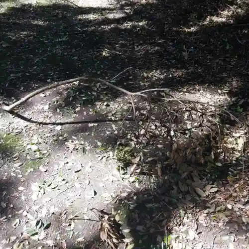 沼尾神社の自然