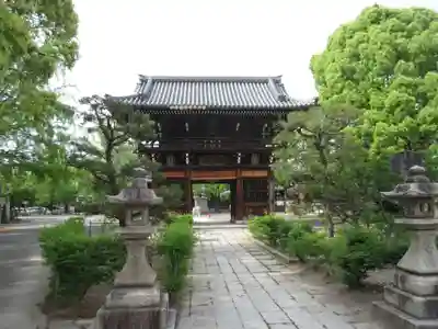 頂妙寺の山門・神門