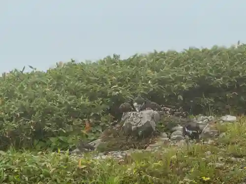 雄山神社峰本社の動物