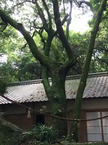 花窟神社の自然
