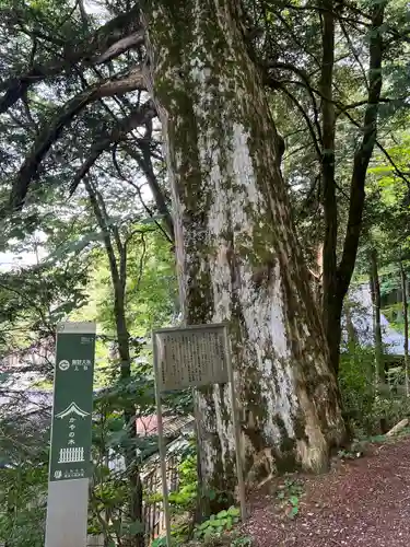 諏訪大社(長野県)