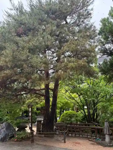 四柱神社(長野県)
