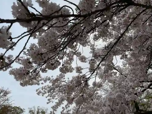 醍醐寺(京都府)