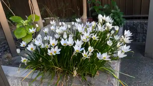 無量寿仏会本部(京都府)