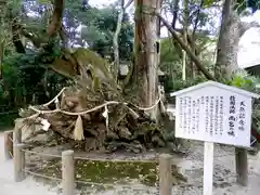 大山祇神社(愛媛県)