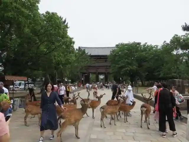 東大寺(奈良県)