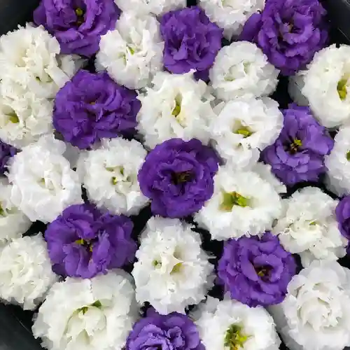 鹿島台神社の手水舎