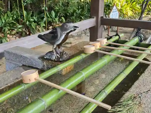 弓弦羽神社の{uncategorized: "未分類", other: "その他", undefined: "問題あり", building: "その他建物", grave: "お墓", sacred_gate: "鳥居", guardian: "狛犬", statue: "像", buddha: "仏像", history: "歴史", nature: "自然", garden: "庭園", animal: "動物", pagoda: "塔", temizu: "手水舎", mountain_gate: "山門・神門", sanctuary: "本殿・本堂", subordinate: "末社・摂社", art: "芸術", scenery: "景色", jizo: "地蔵", ema: "絵馬", goshuin: "御朱印", omikuji: "おみくじ", items: "授与品その他", amulet: "お守り", goshuincho: "御朱印帳", eats: "食事", festival: "お祭り", votive_dance: "神楽", shichigosan: "七五三参", wedding: "結婚式", experience: "体験その他", initially: "初詣", around: "周辺", anti_infection: "感染症対策"}